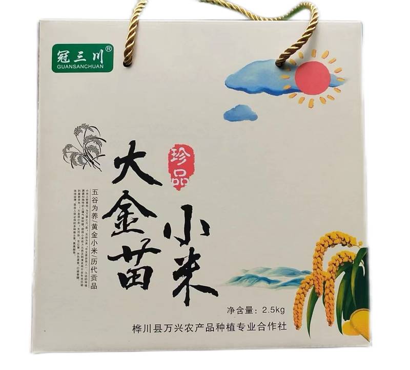 大金苗小米